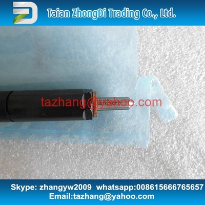 China Delphi Genuine Common rail injector EJBR03001D/33800-4X900/33801-4X900 for BONGO supplier