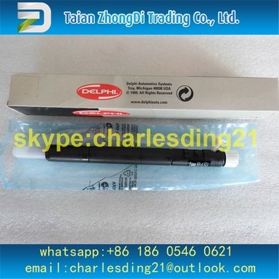 China DELPHI ORIGINAL AND NEW Common Rail Injector EJBR04401D For 6650170221 SSANGYONG supplier