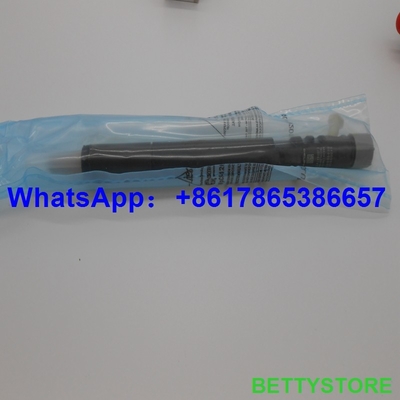 China EJBR04701D DELPHI injector EJBR04701D EJBR03401D for SSANGYONG A6640170221 A6640170021,6640170221 supplier