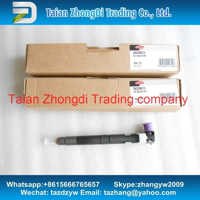 Delphi original Common rail injector 28229873 for 33800-4A710 ,338004A710 KIA Bongo 3 WGT 2.5L Euro IV HYUNDAI Starex 2. supplier