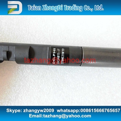 Delphi Genuine and new Common rail injector EJBR05301D For yu chai supplier