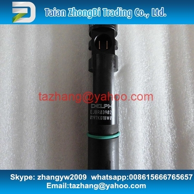 Delphi Genuine Common rail injector EJBR03902D / 33800-4X400 Suit CARNIVAL /SEDONA supplier