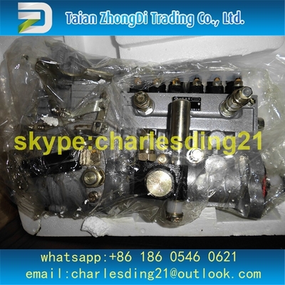 Original and New LONGBENG  brand  fuel pump BH6PA 141260022 13036394 with high quality and best price supplier