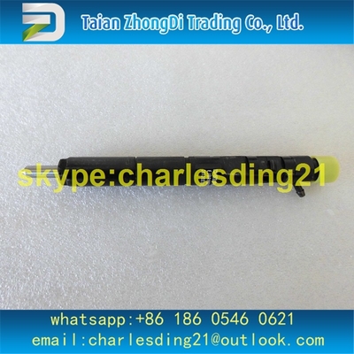 DELPHI ORIGINAL AND NEW Common Rail Injector EJBR03301D / 33800-4X900 / 1112100TAR fits for JMC Transit 2.8L Euro III supplier