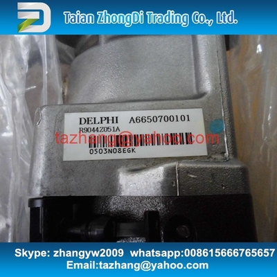 Delphi fuel pump R9044Z051A/R9044Z162A suit REXTON A6650700101/A6650700401 supplier
