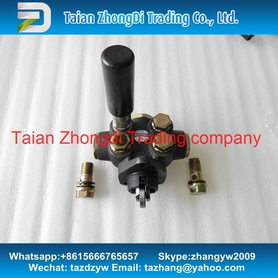 weifu original new Genuine feed pump supplier