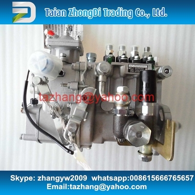 WEIFU original fuel pump BHF4PM100003 for 4D32-09 supplier