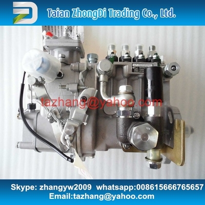 WEIFU original fuel pump BHF4PM100003 for 4D32-09 supplier