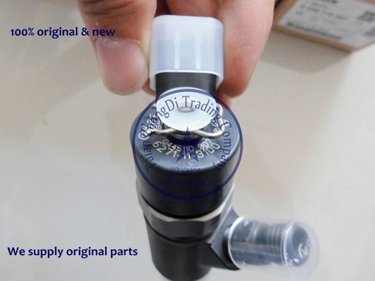 BOSCH Common Rail injector 0445110307 , 0 445 110 307 , 0445 110 307 supplier
