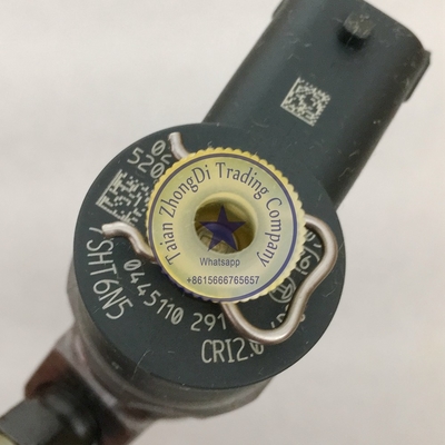 BOSCH Common Rail Injector 0445110291 , 0 445 110 291 supplier