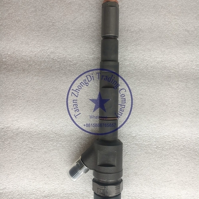 BOSCH 0 445 110 274 , 0 445 110 275 Common rail injector 0445110274 , 0445110275 for HYUNDAI 33800-4A500 supplier