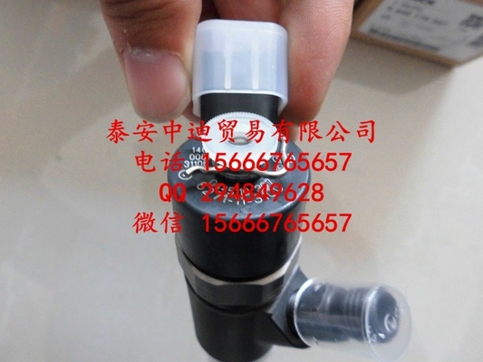 BOSCH Common rail injector 0445110307 , 0 445 110 307 supplier