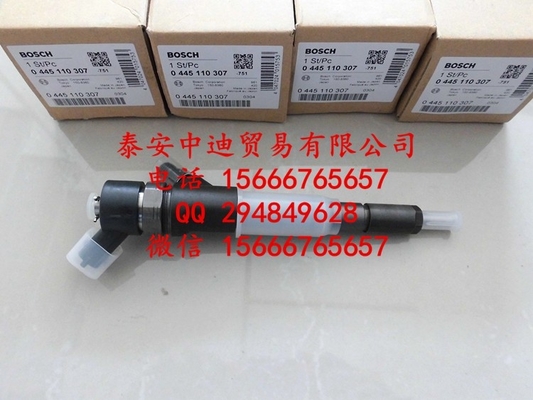 BOSCH Common rail injector 0445110307 , 0 445 110 307 supplier