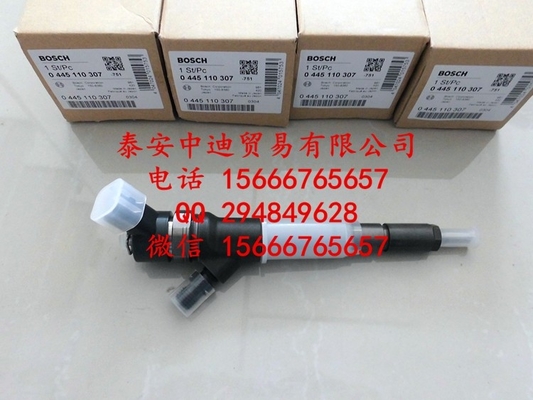 BOSCH Common rail injector 0445110307 , 0 445 110 307 supplier