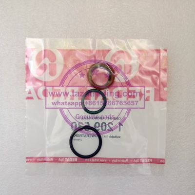 Oring seal kit Repair kit 1209530 for powerstroke Oring seal kit supplier