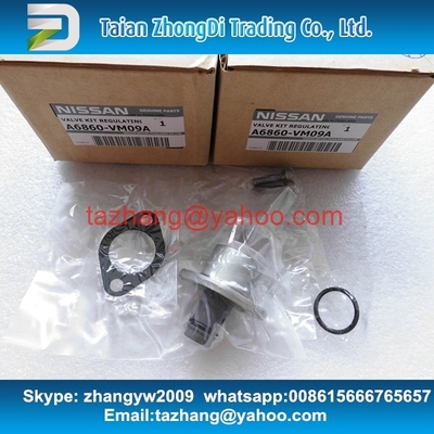 Genuine overhaul kits A6860-VM09A , NISSAN A6860VM09A , include valve 294200-0360 supplier