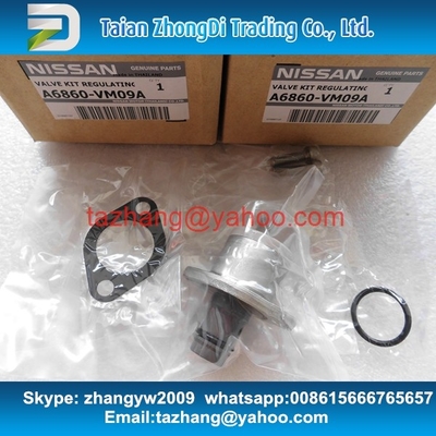 Genuine overhaul kits A6860-VM09A , NISSAN A6860VM09A , include valve 294200-0360 supplier