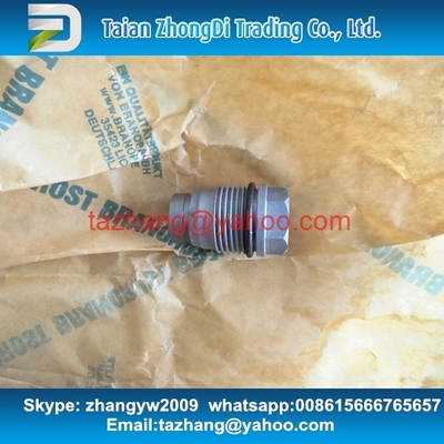 BOSCH Pressure relief valve 1110010017 supplier