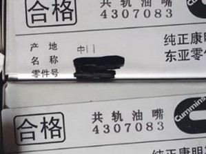 CUMMINS Nozzle 4307083 , P5461846FSW ,5406060 original and brand new supplier