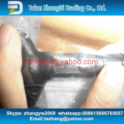 Geuine Original CR Injector 095000-6030 / 33800-87000 for HYUNDAI Mega Truck supplier
