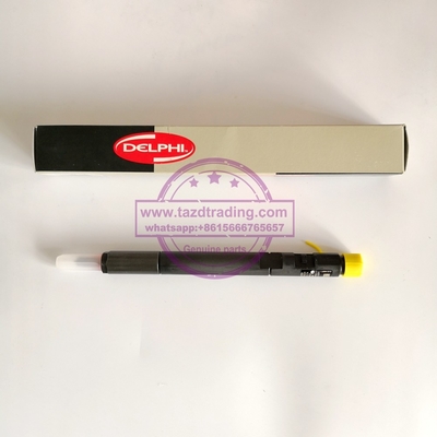 DELPHI Genuine Injector EJBR04201D , R04201D for Mercedes Benz A6460700987 , 6460700987 supplier