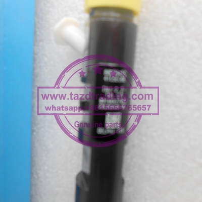 DELPHI Common Rail Injector EJBR04901D , R04901D , 28280600 supplier