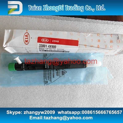 DELPHI Common Rail Injector EJBR03001D , R03001D , 33800-4X900 , 33801-4X900 supplier