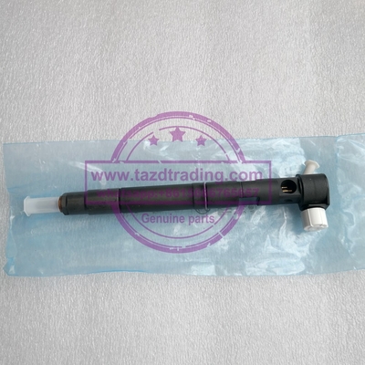 DELPHI Genuine Common rail injector 28489548 / 25195089 , 28264951 / 25183186 supplier