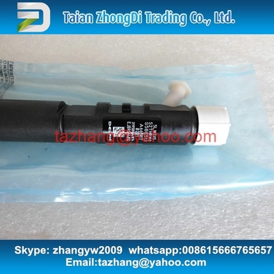 EJBR04401D DELPHI injector EJBR04401D , R04401D for SSANGYONG A6650170221, 6650170221 supplier