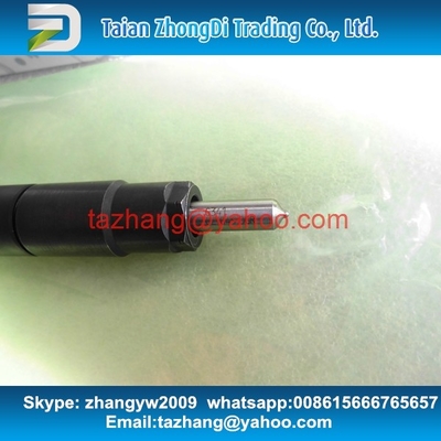 DELPHI EMBR00301D Common rail injector EMBR00301D , R00301D SSANGYONG Korando injector 6710170121 A6710170121 supplier