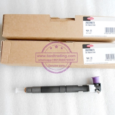DELPHI 28229873 / 33800-4A710 Genuine and New Common rail injector 28229873 / 33800-4A710 / 338004A710 for HYUNDA KIA supplier