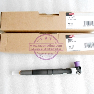DELPHI Genuine and New Common rail injector 28229873 / 33800-4A710 for HYUNDA KIA supplier