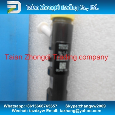 DELPHI CR Injector EJBR04901D , R04901D , 28280600 , 27890116101 TML 2.2L E4 supplier