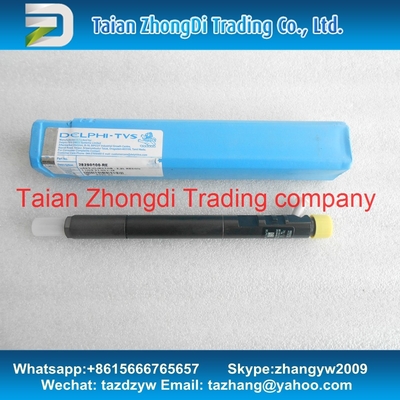 DELPHI CR Injector EJBR04901D , R04901D , 28280600 , 27890116101 TML 2.2L E4 supplier
