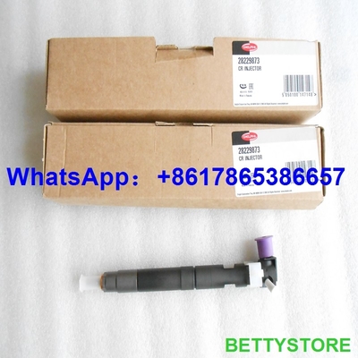 DELPHI 28229873 / 33800-4A710 Genuine and New Common rail injector 28229873 / 33800-4A710 / 338004A710 for HYUNDA KIA supplier