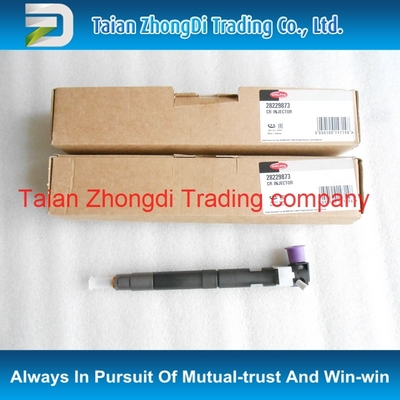 DELPHI Original Common Rail Injector 28229873 / 338004A710/33800-4A710 for KIA / STAREX supplier
