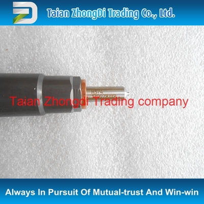 DELPHI Original Common Rail Injector 28229873 / 338004A710/33800-4A710 for KIA / STAREX supplier