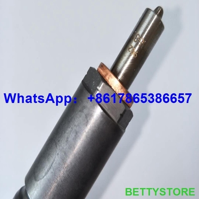 BOSCH injector 0445110310 Common Rail injector 0445110310 , 0 445 110 310 , 0445 110 310 supplier