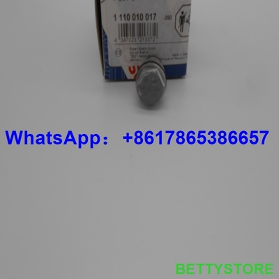 BOSCH Pressure relief valve 1110010017 supplier