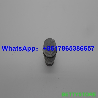 BOSCH Pressure relief valve 1110010017 supplier