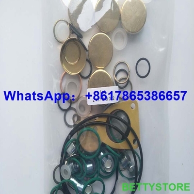 diesel fuel injector repair kit 800717 2417010022 supplier