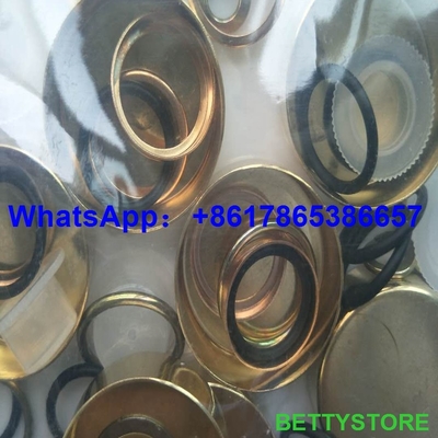 diesel fuel injector repair kit 800717 2417010022 supplier