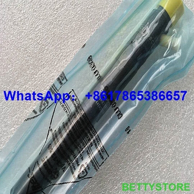 DELPHI injector EJBR02801D,EJBR01901Z, EJBR02301Z for HYUNDAI 33800-4X500/33801-4X500/33801-4X510/338014X500/338014X510 supplier