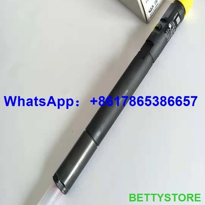 DELPHI common rail injector EJBR04201D , R04201D for Mercedes Benz A6460700987 supplier